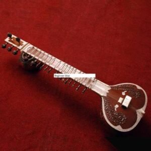 Beginner Sitar