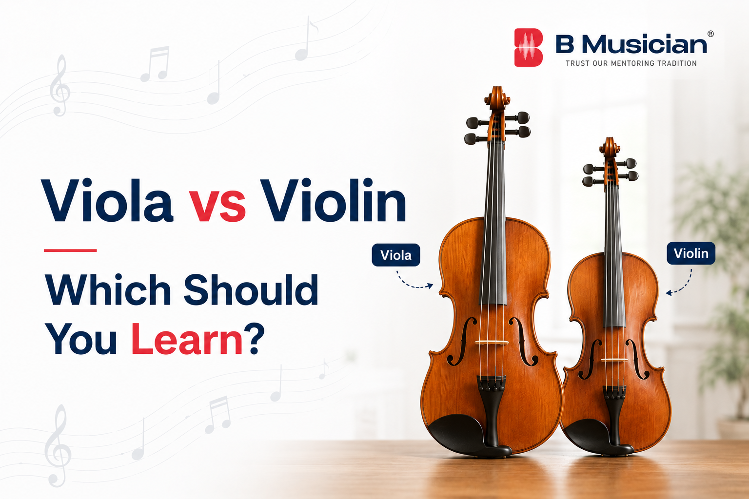 Viola vs Violin: Key Differences and Which to Learn First